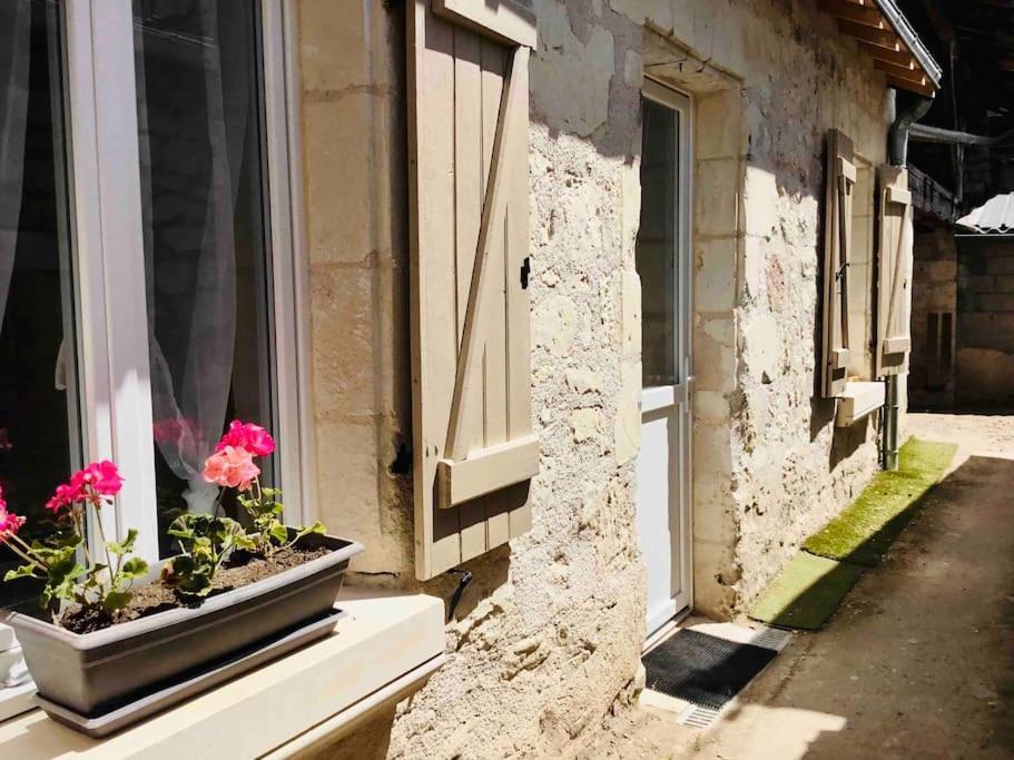 Logement Neuf Et Cosy Proche Centre Ville チノン エクステリア 写真