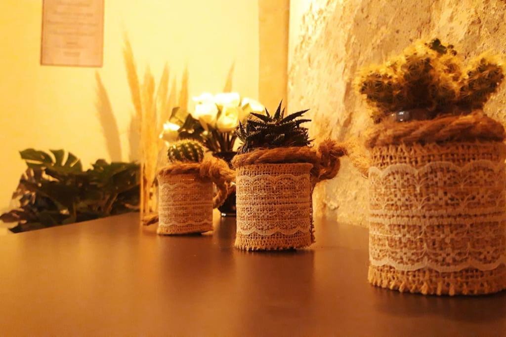 Logement Neuf Et Cosy Proche Centre Ville チノン エクステリア 写真