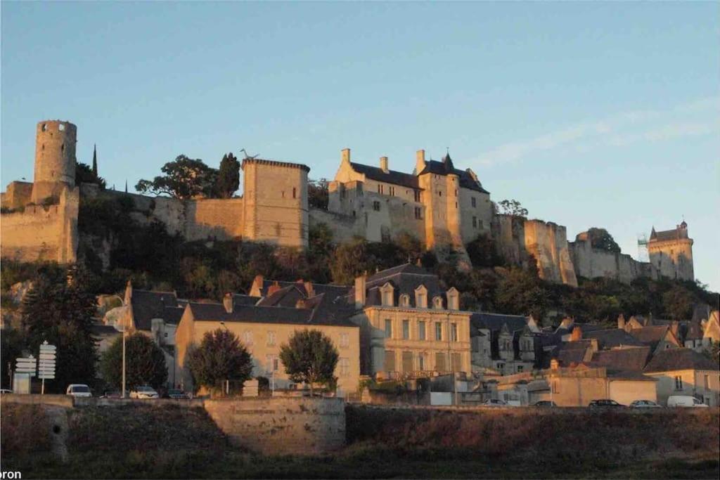 Logement Neuf Et Cosy Proche Centre Ville チノン エクステリア 写真